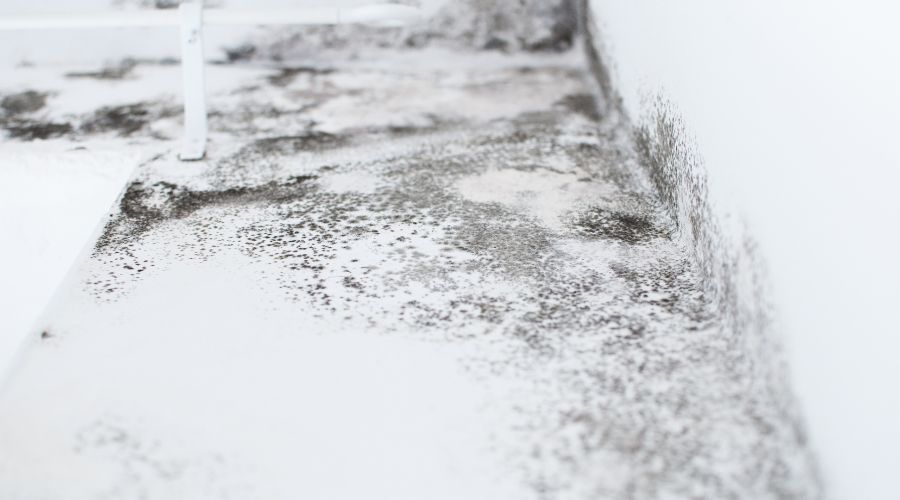 hero mold inspection white plains ny